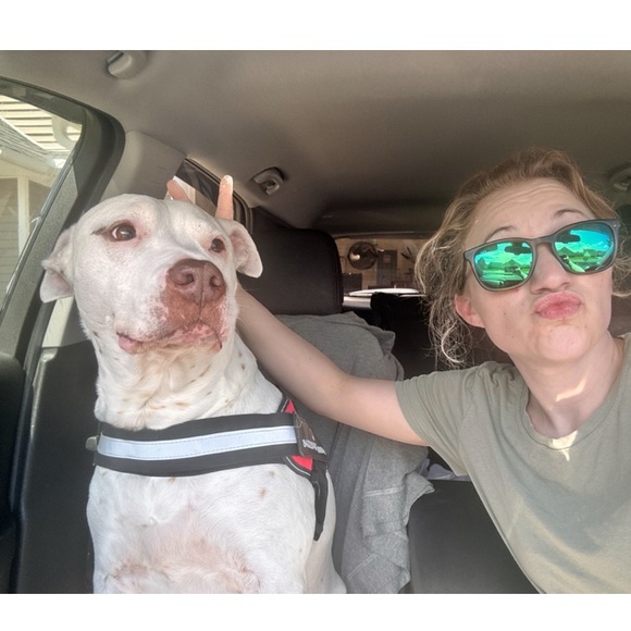 ✨READ ME! ✨ - Picture 5 of 11